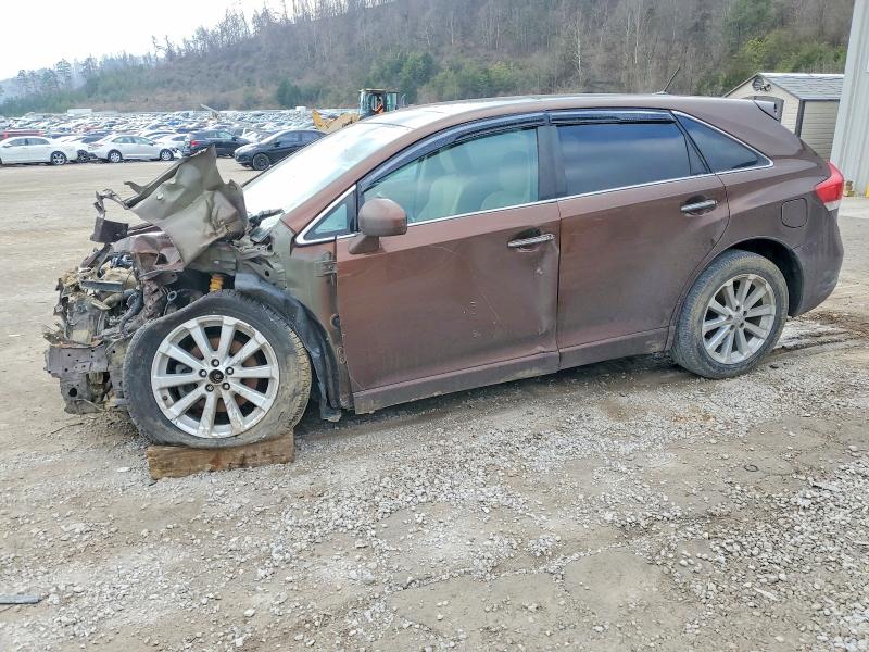 TOYOTA VENZA 2009 with VIN 4T3BE11A09U007885 - Photo from auction