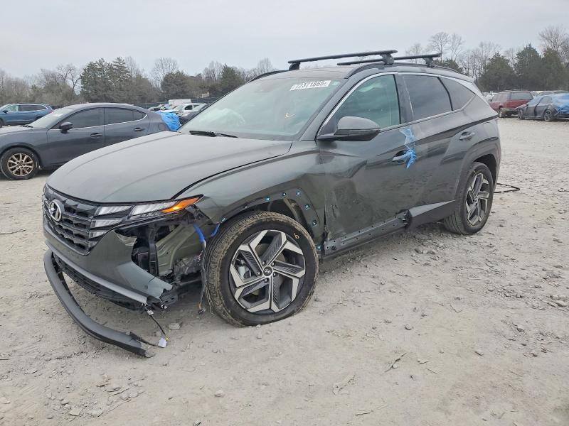 HYUNDAI TUCSON SEL 2024 with VIN KM8JCCD11RU235136 - Photo from auction