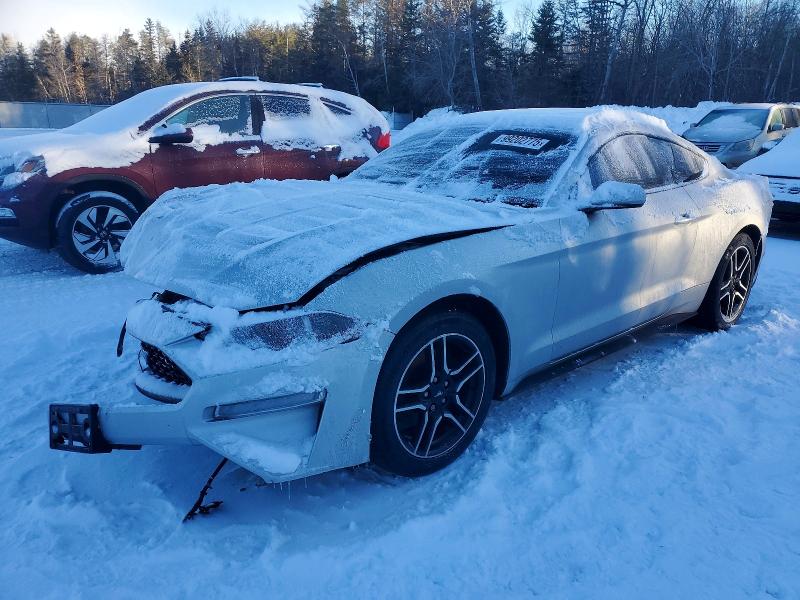 FORD MUSTANG 2019 with VIN 1FA6P8TH8K5104964 - Photo from auction