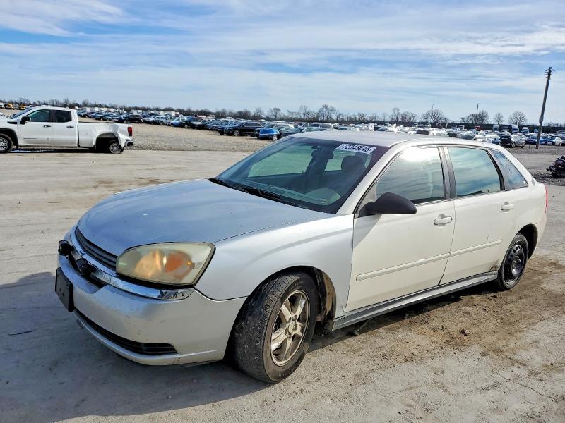 CHEVROLET MALIBU MAX 2005 with VIN 1G1ZT64805F177498 - Photo from auction