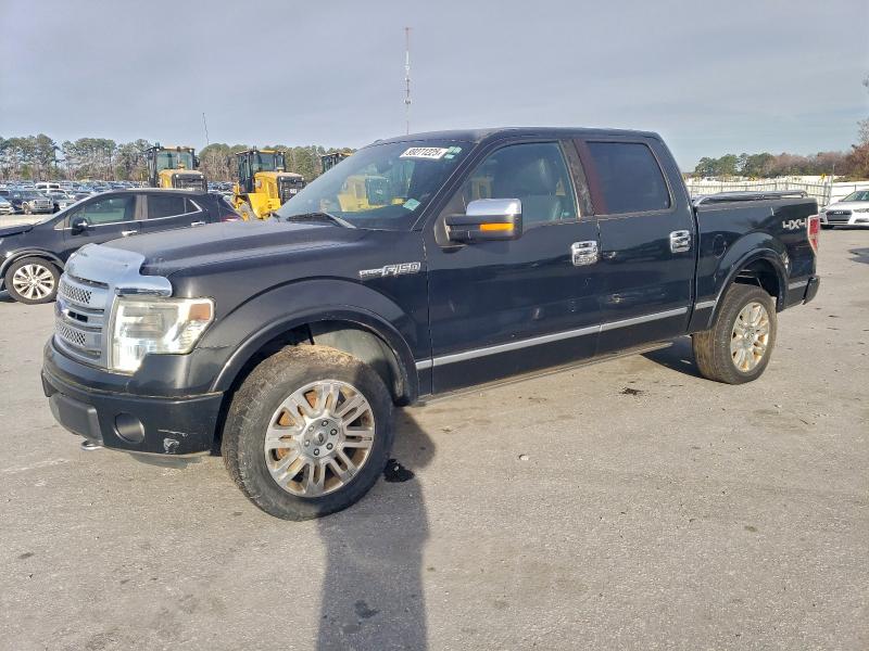 FORD F150 SUPER 2014 with VIN 1FTFW1E61EFA75029 - Photo from auction