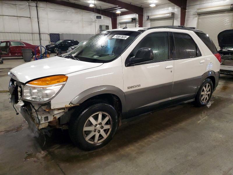 BUICK RENDEZVOUS 2003 with VIN 3G5DB03E23S549495 - Photo from auction