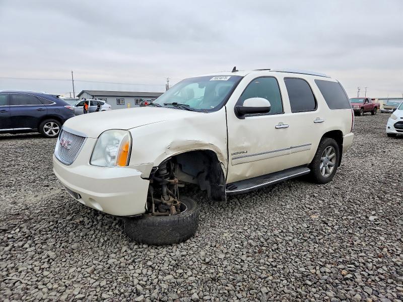 GMC YUKON DENA 2010 with VIN 1GKUKEEF2AR116825 - Photo from auction