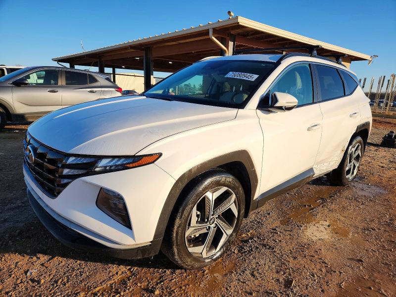 HYUNDAI TUCSON 2023 with VIN 5NMJF3AE4PH284242 - Photo from auction