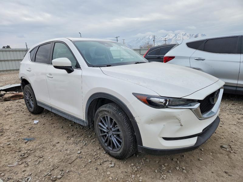 Photo 4 from auction – 2023 TESLA MODEL Y with VIN 7SAYGDEE2PA145580