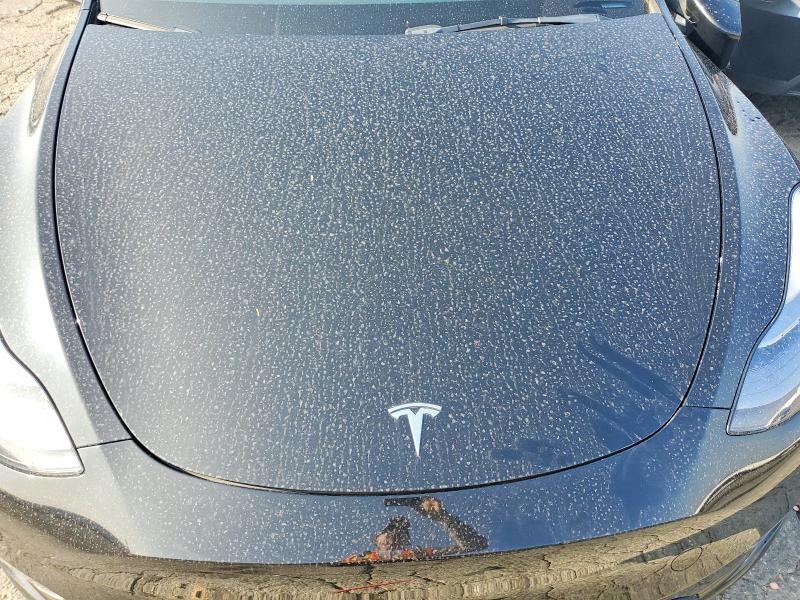 صورة رقم 11 من المزاد - 2023 TESLA MODEL Y مع VIN 7SAYGDEF3PF698704