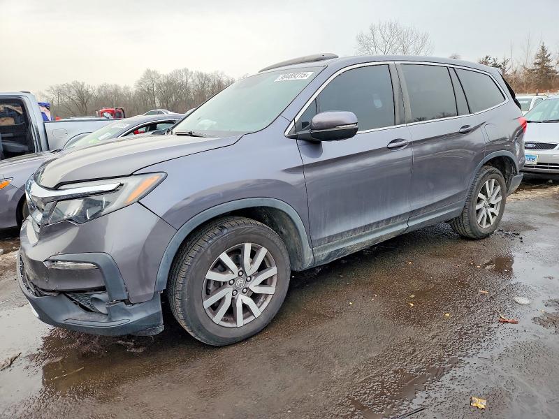 HONDA PILOT EXL 2019 with VIN 5FNYF6H50KB020368 - Photo from auction