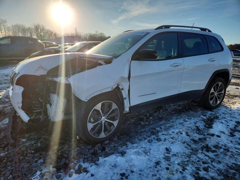 JEEP CHEROKEE 2022 with VIN 1C4PJMDXXND548310 - Photo from auction