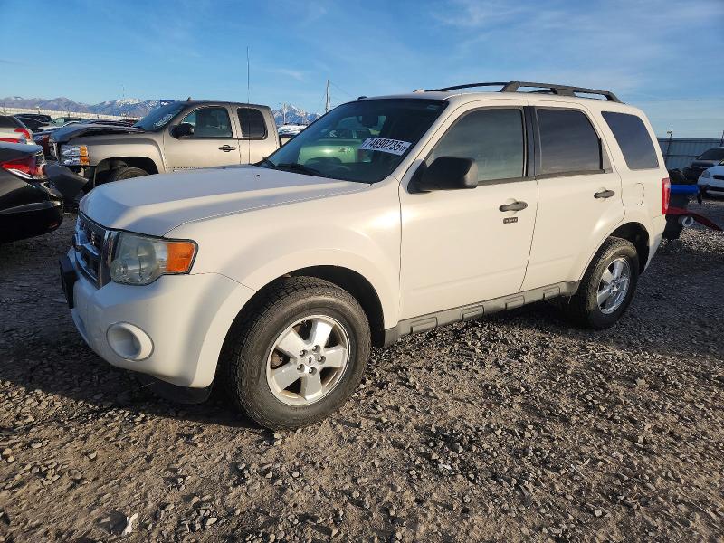 FORD ESCAPE XLT 2009 with VIN 1FMCU93G59KA65101 - Photo from auction