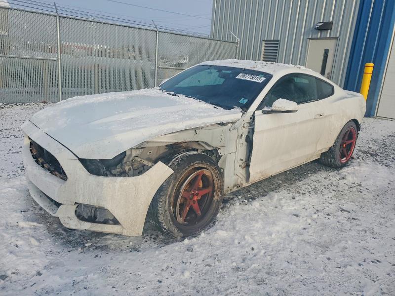 FORD MUSTANG 2016 with VIN 1FA6P8TH4G5300892 - Photo from auction