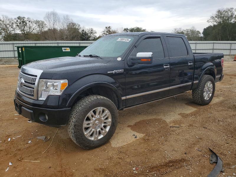 FORD F150 SUPER 2009 with VIN 1FTPW14VX9FA27886 - Photo from auction