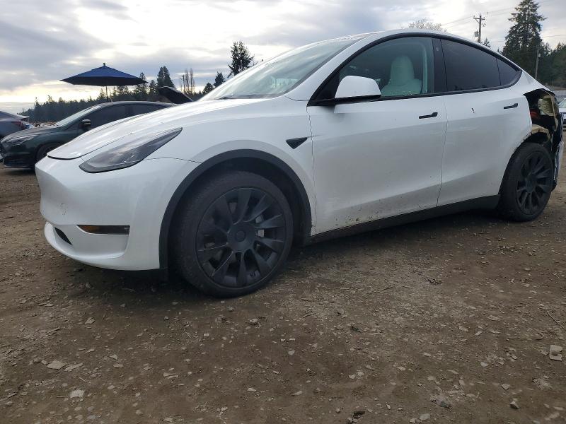 TESLA MODEL Y 2023 with VIN 7SAYGDEE3PF626571 - Photo from auction