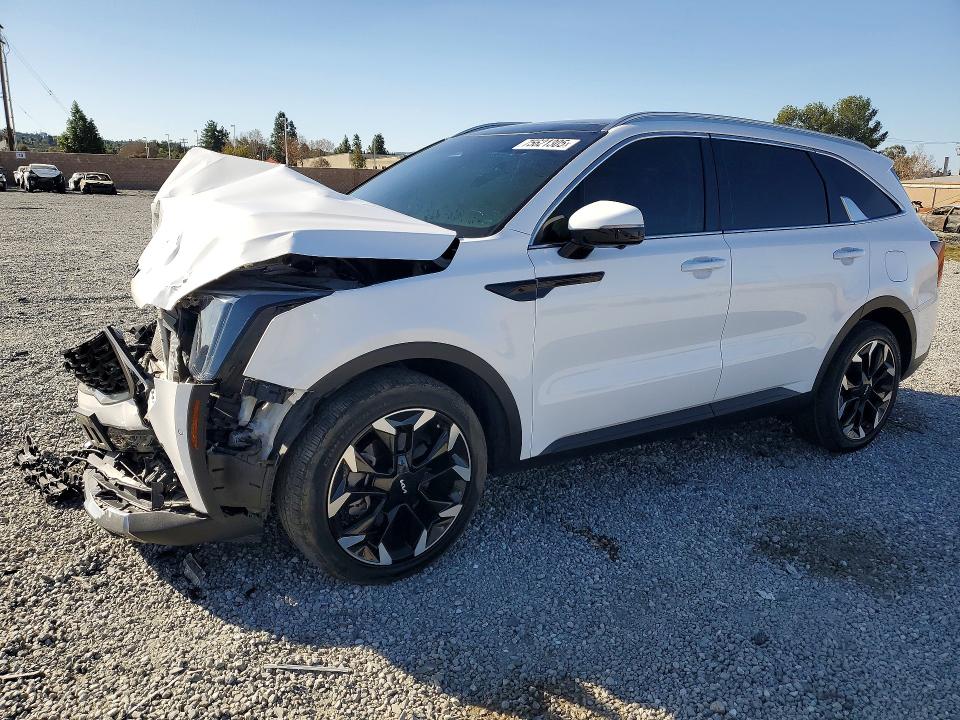 KIA SORENTO 2024 with VIN 5XYRK4JF2RG254344 - Photo from auction
