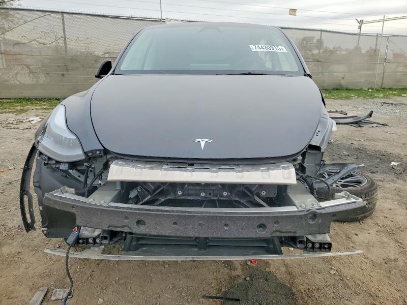 Photo 5 from auction – 2025 TESLA MODEL Y with VIN 7SAYGDED8SF262079