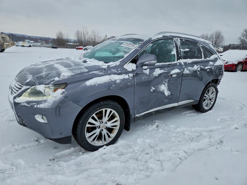 LEXUS RX 350 BAS 2013 with VIN 2T2BK1BA8DC162948 - Photo from auction