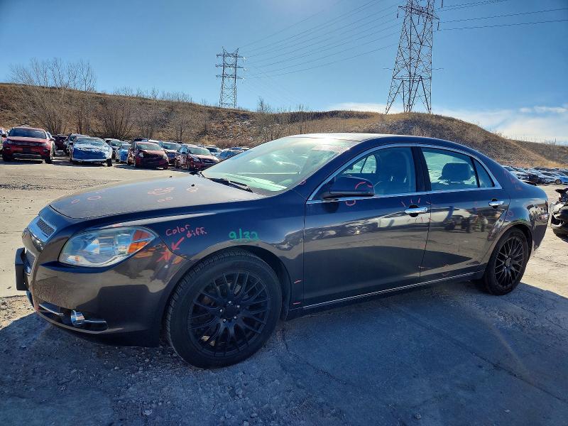CHEVROLET MALIBU 2011 with VIN 1G1ZE5E1XBF293275 - Photo from auction