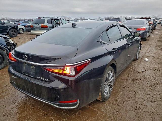 Photo 3 from auction – 2021 LEXUS ES 250 BAS with VIN 58AD11D12MU005694