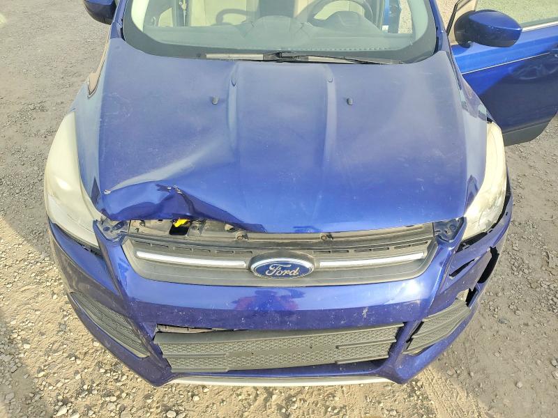 Photo 12 from auction – 2014 FORD ESCAPE SE with VIN 1FMCU0GX8EUB13582