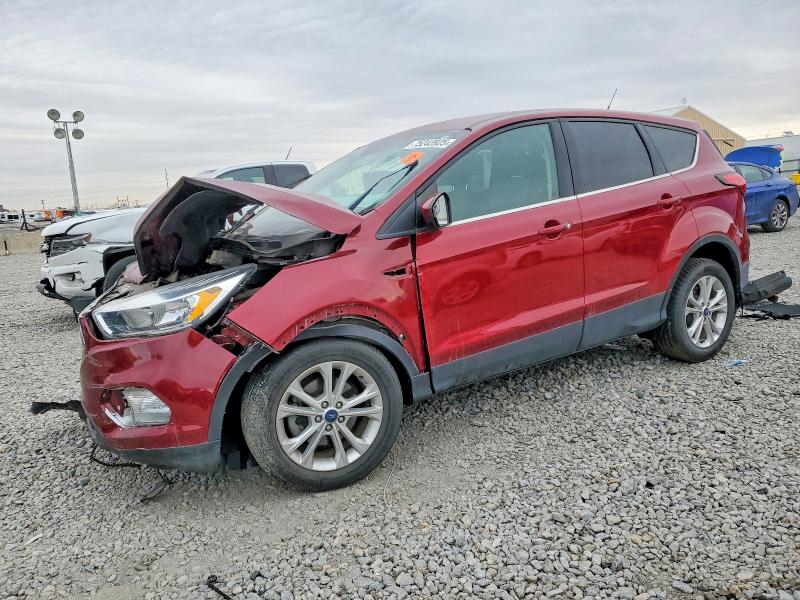 FORD ESCAPE 2019 with VIN 1FMCU0GD7KUA23972 - Photo from auction