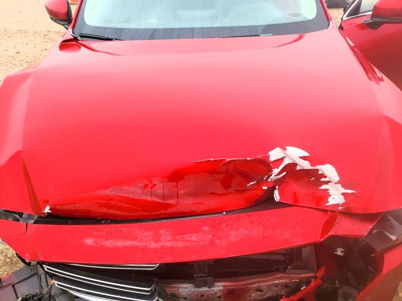 Photo 12 from auction – 2021 MAZDA CX-9 with VIN JM3TCACY6M0500141