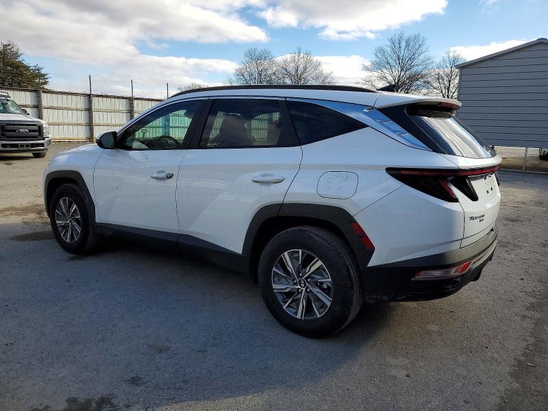 Photo 2 from auction – 2023 HYUNDAI TUCSON BLU with VIN KM8JBCA13PU131123