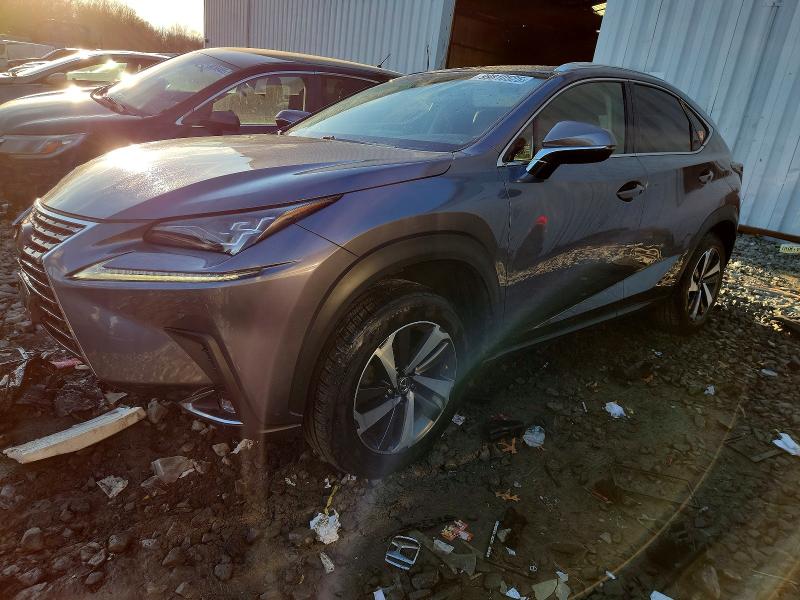 LEXUS NX 300 BAS 2018 with VIN JTJBARBZ2J2150135 - Photo from auction