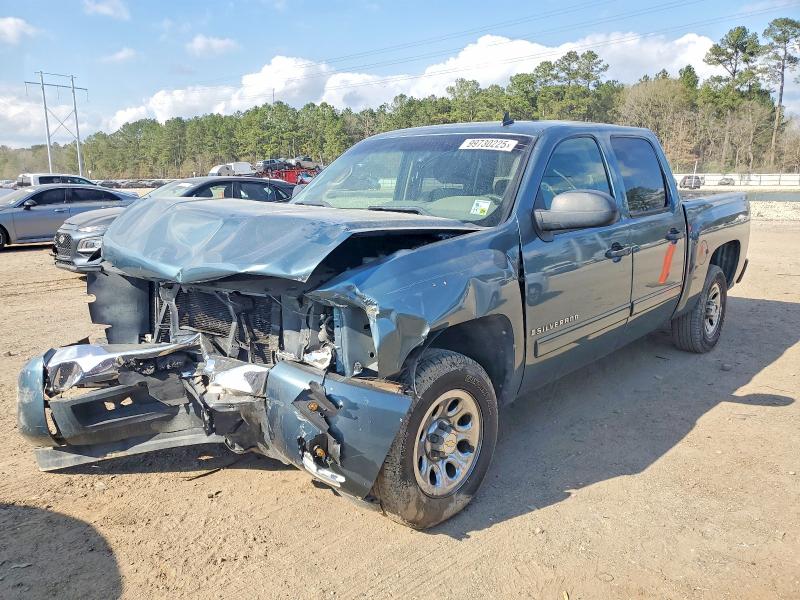 CHEVROLET SILVERADO 2009 with VIN 3GCEC13C19G262496 - Photo from auction