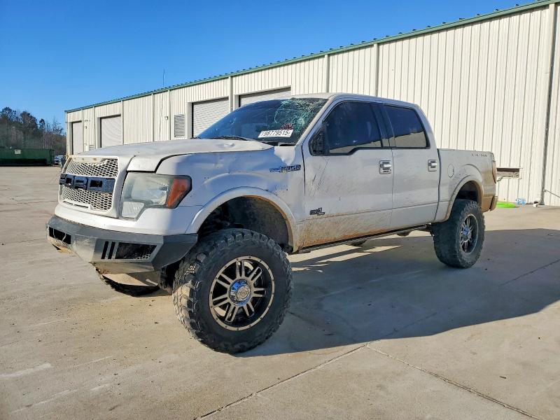 FORD F150 2011 with VIN 1FTFW1E66BFA60215 - Photo from auction
