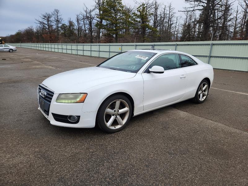 AUDI A5 PREMIUM 2010 with VIN WAULFAFR4AA043062 - Photo from auction