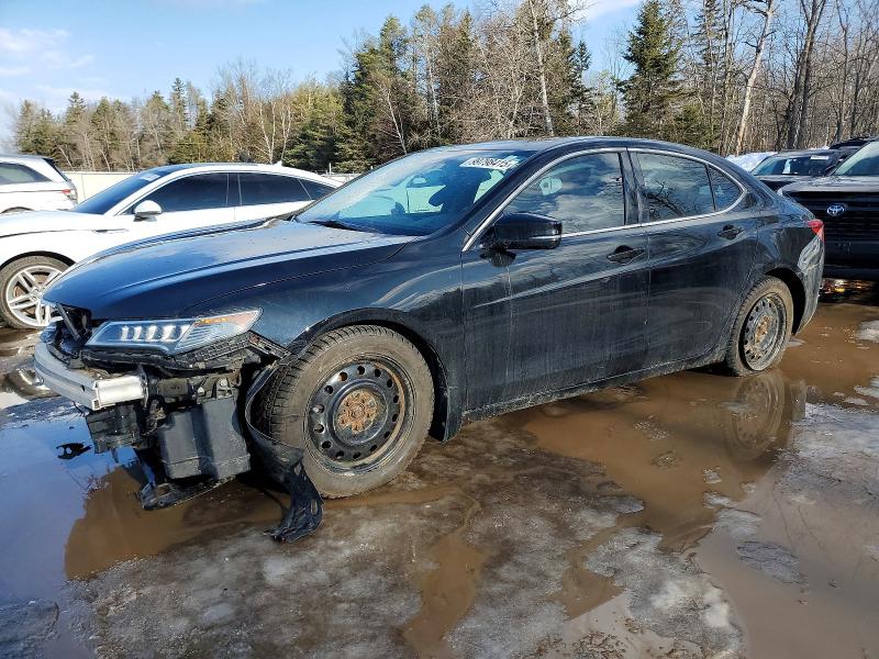 ACURA TLX TECH 2015 with VIN 19UUB1F51FA800802 - Photo from auction