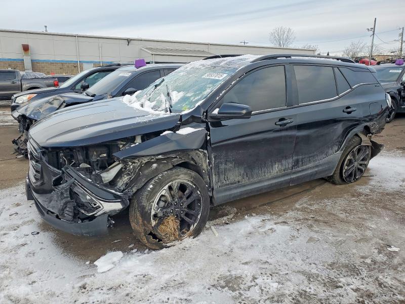 GMC TERRAIN SL 2019 with VIN 3GKALTEVXKL177117 - Photo from auction