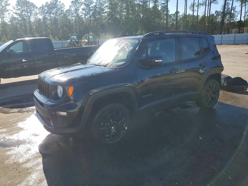 JEEP RENEGADE L 2019 with VIN ZACNJBBB5KPJ95584 - Photo from auction