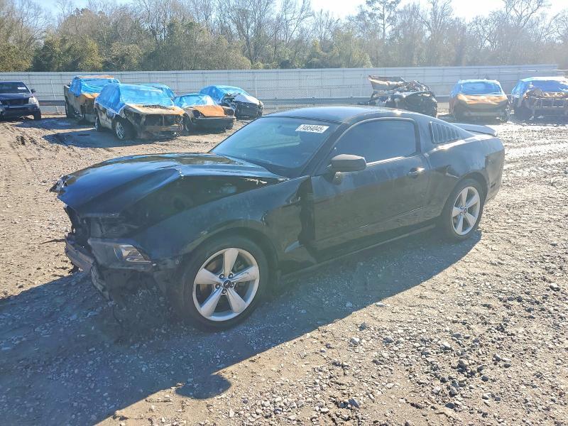 FORD MUSTANG 2014 with VIN 1ZVBP8AM2E5279950 - Photo from auction