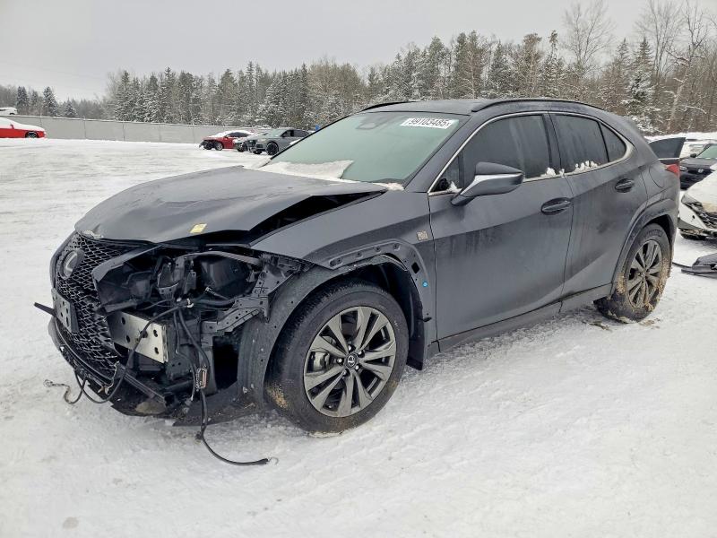 2025 LEXUS UX 300H BA - Търг №99103485