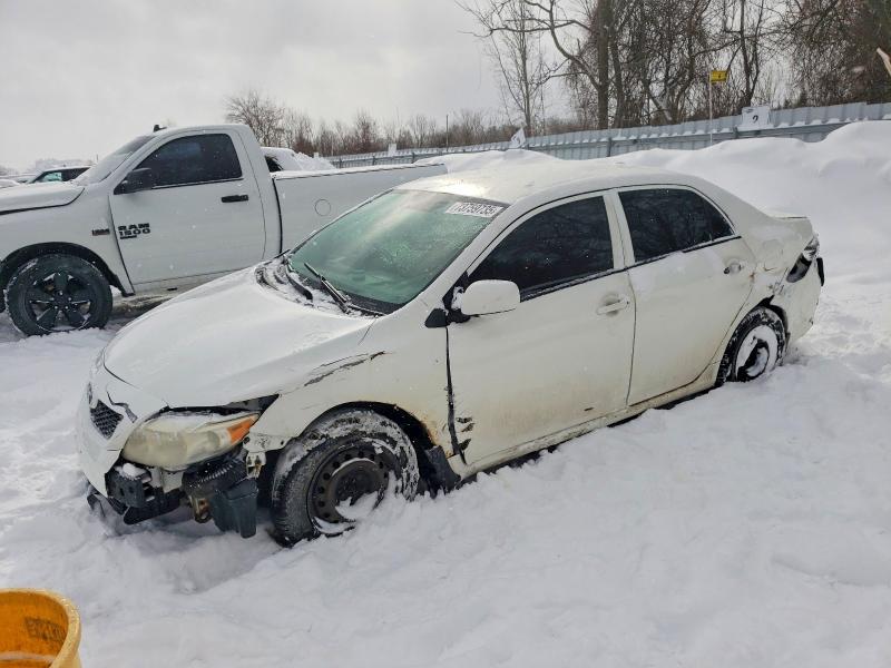 TOYOTA COROLLA BA 2010 with VIN 2T1BU4EE3AC408685 - Photo from auction