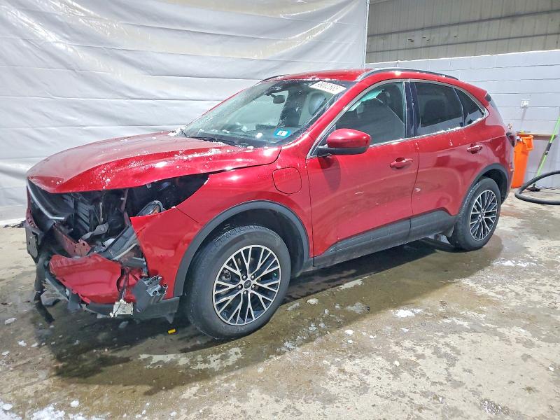 FORD ESCAPE 2025 with VIN 1FMCU0E13SUA26604 - Photo from auction