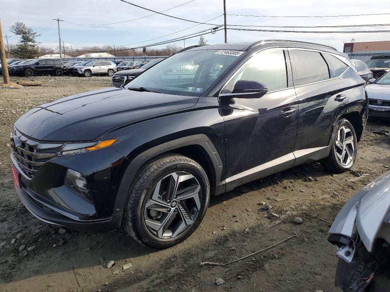 HYUNDAI TUCSON LIM 2024 with VIN 5NMJECDEXRH393516 - Photo from auction