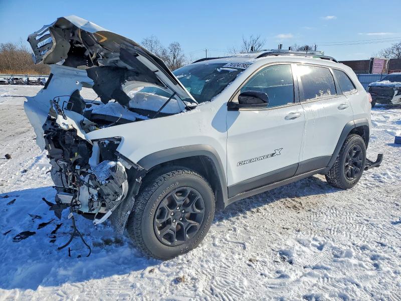 JEEP CHEROKEE 2022 with VIN 1C4PJMCX0ND537978 - Photo from auction