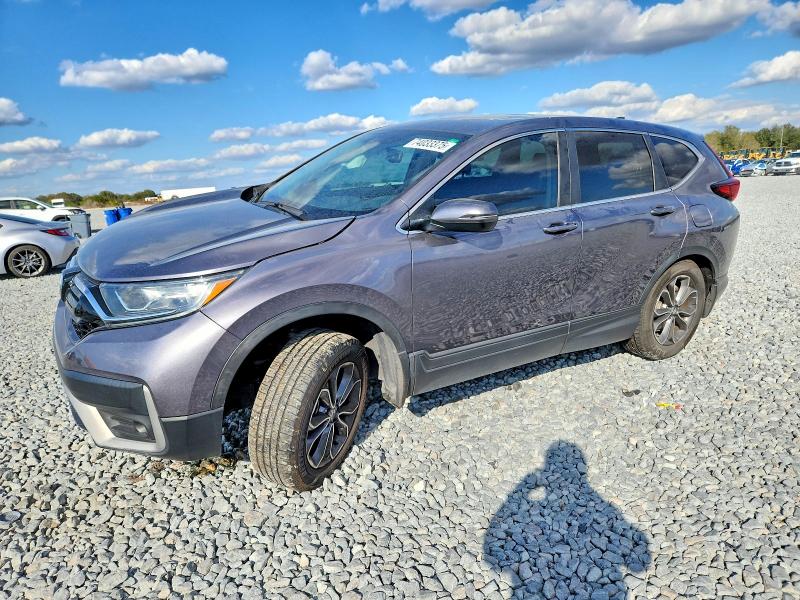HONDA CR-V EXL 2022 with VIN 7FARW2H80NE022850 - Photo from auction