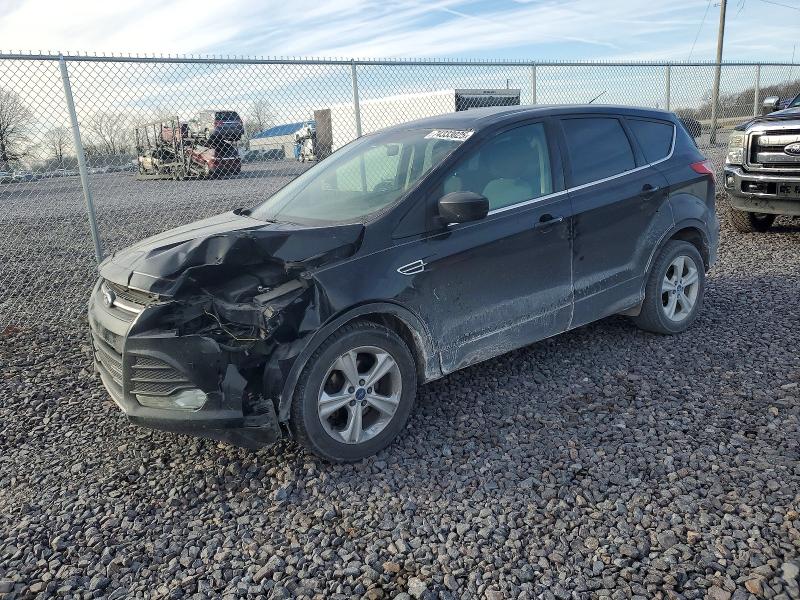 FORD ESCAPE 2014 with VIN 1FMCU0GX2EUB40681 - Photo from auction