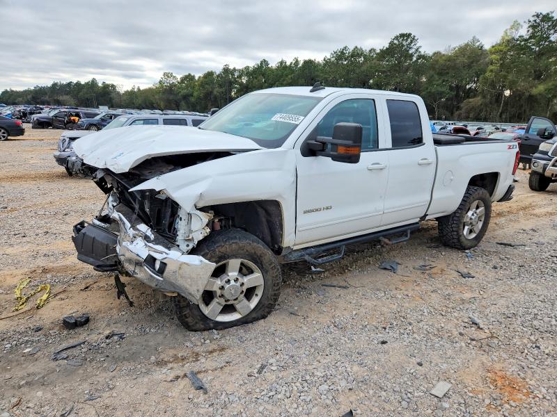 CHEVROLET SILVERADO 2019 with VIN 2GC2KSEG6K1113155 - Photo from auction