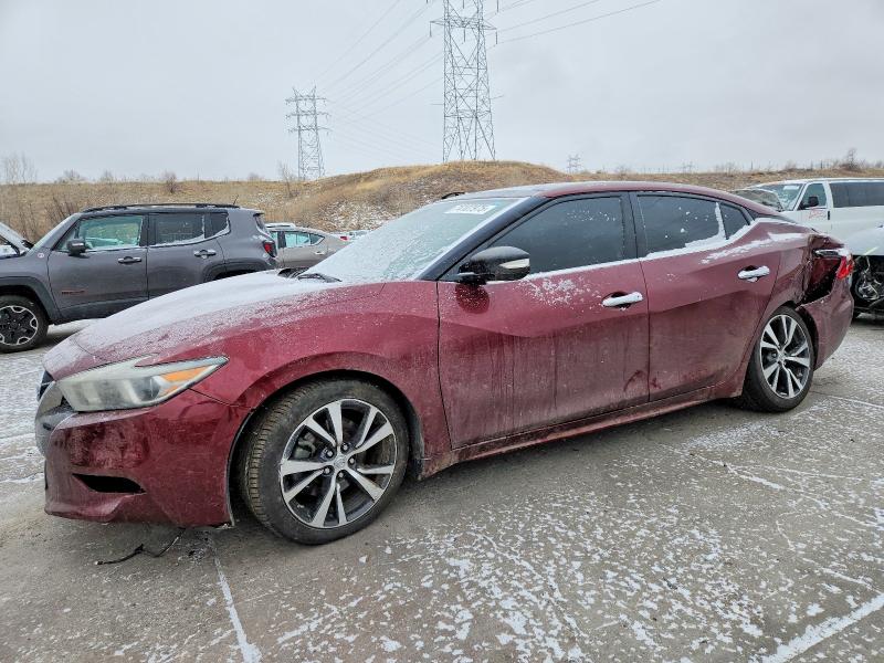NISSAN MAXIMA 2016 with VIN 1N4AA6AP7GC901302 - Photo from auction