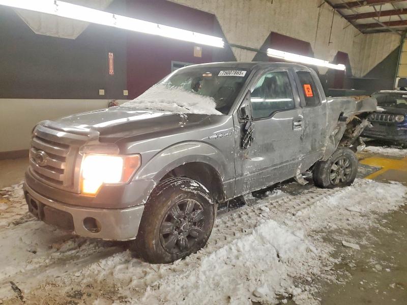 FORD F150 2009 with VIN 1FTRX12V29FA54329 - Photo from auction