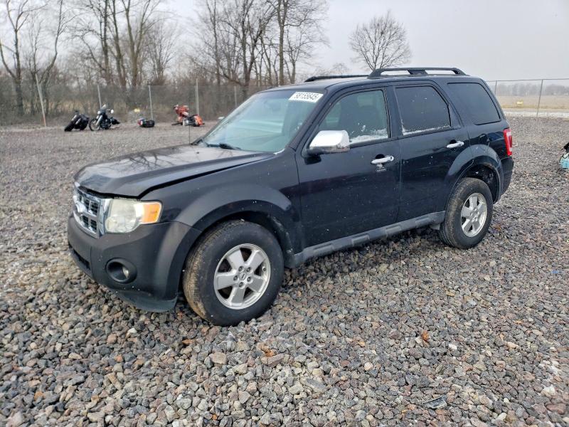 FORD ESCAPE XLT 2011 with VIN 1FMCU9D7XBKB74528 - Photo from auction