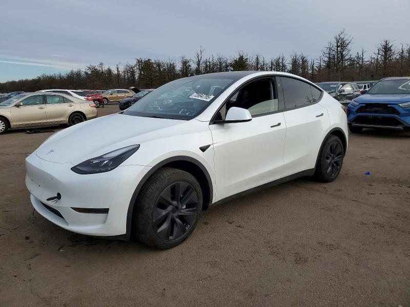 TESLA MODEL Y 2024 with VIN 7SAYGDED1RF162349 - Photo from auction
