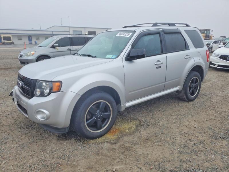 FORD ESCAPE XLT 2010 with VIN 1FMCU9DG2AKD16238 - Photo from auction