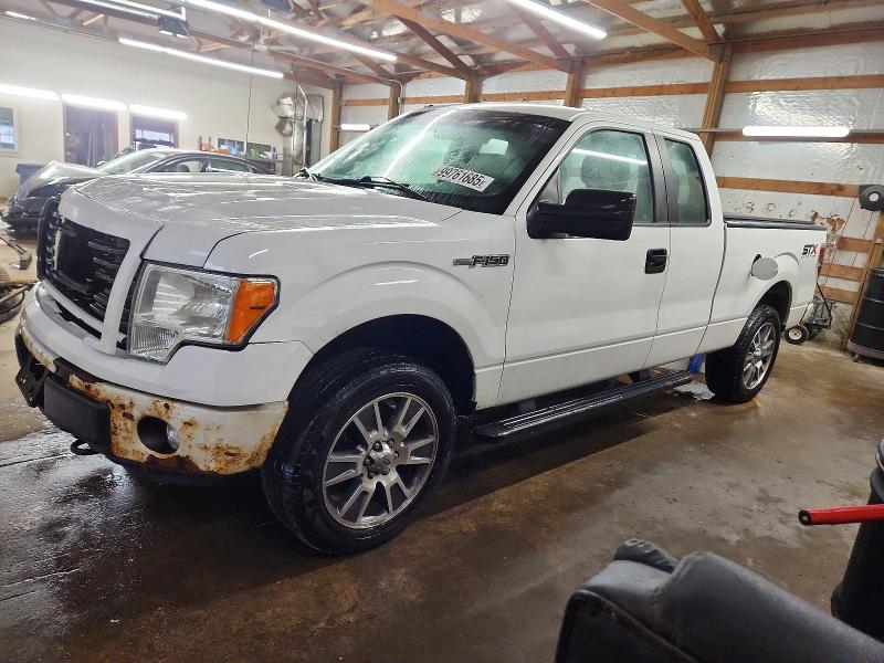 FORD F150 SUPER 2014 with VIN 1FTEX1EM1EFB00521 - Photo from auction