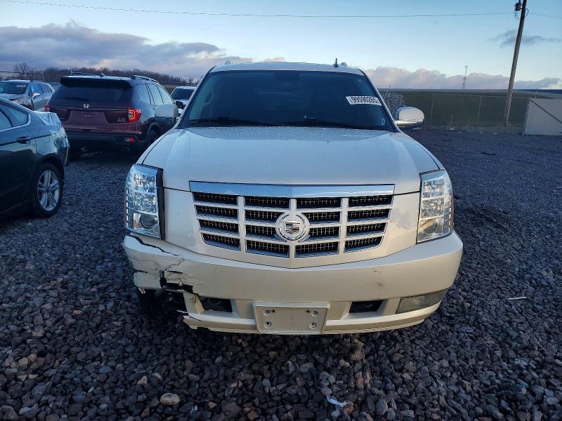 Photo 5 from auction – 2010 CADILLAC ESCALADE with VIN 1GYUCJEFXAR201150