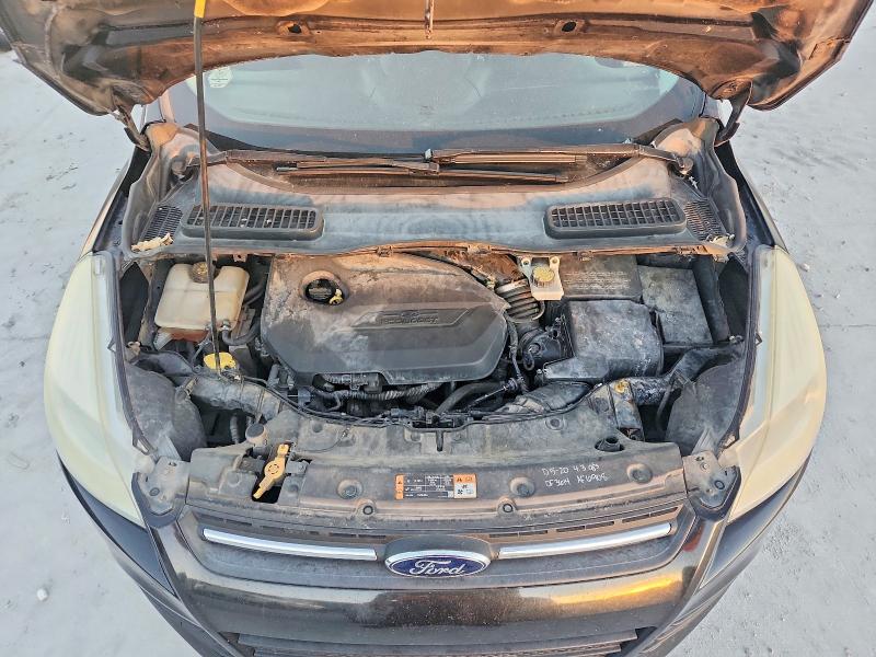 Photo 11 from auction – 2014 FORD ESCAPE with VIN 1FMCU0GXXEUD94008