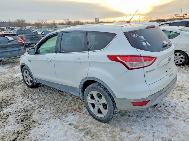 Photo 2 from auction – 2014 FORD ESCAPE SE with VIN 1FMCU0G98EUD48596
